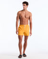 Cadmium Yellow