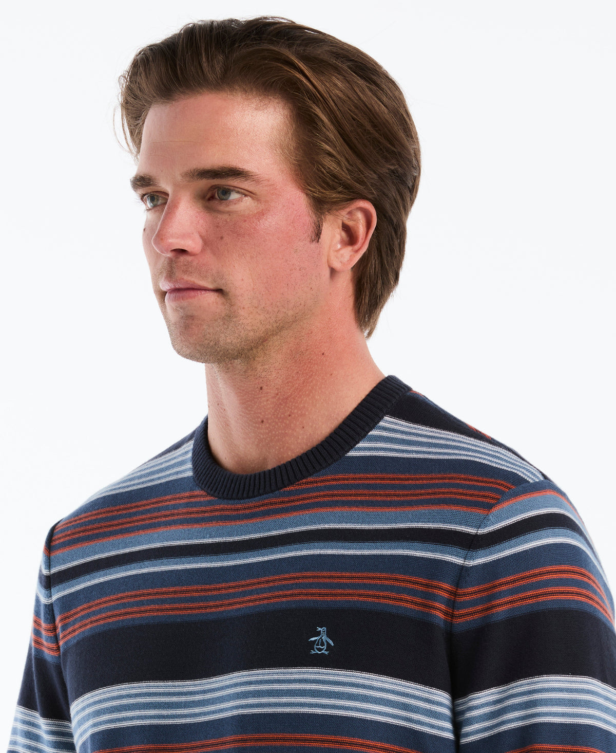 Degrade Stripe Crewneck Sweater