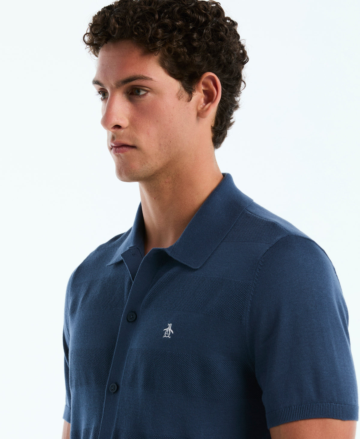 Honeycomb Striped Sweater Polo