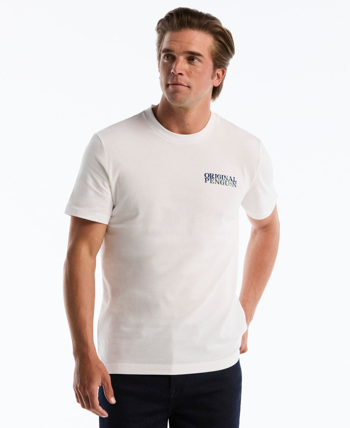 Mountain Scene Graphic Tee